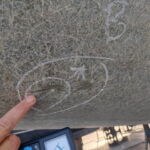 IMG_20241219_105609