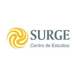 Perito naval acreditado en Surge